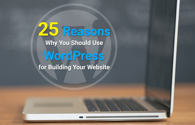 reasons why you should choose wordpress for your website