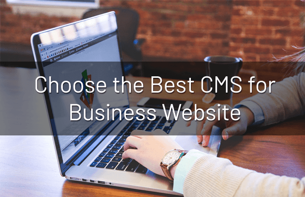 best-cms-business-website